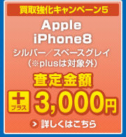 買取強化キャンペーン5　Apple iPhone8 シルバー／スペースグレイ（※plusは対象外）　査定金額プラス3,000円　詳しくはこちら